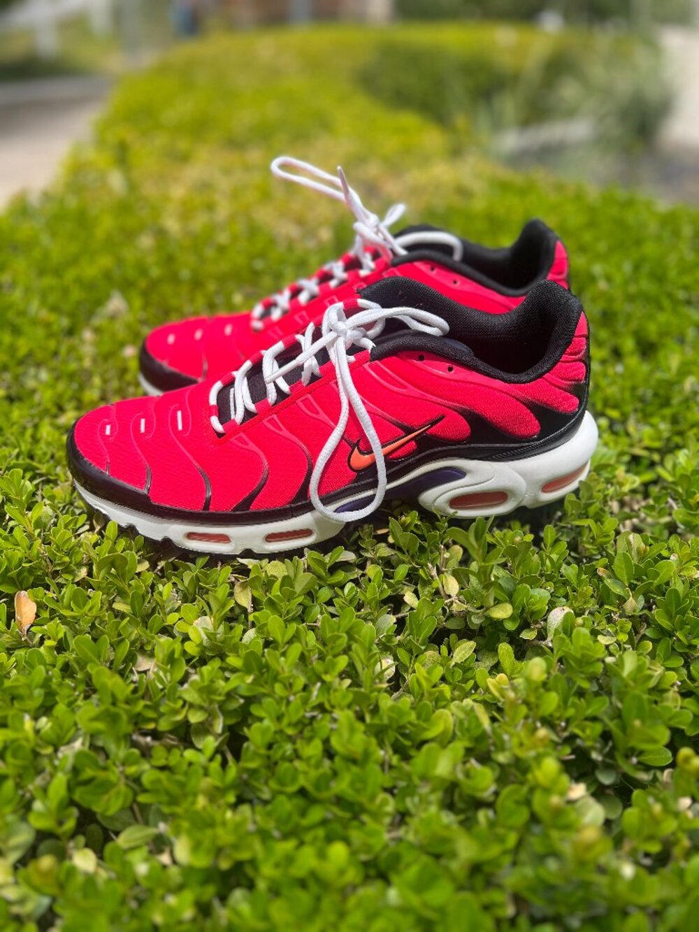 Nike Air Max Plus - Siren Red  / Crimson - Size 12 - Like New